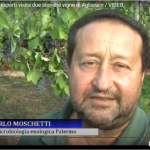 “Rinnovala”, la riscoperta dell’aglianico lasco arianese: Gal e Regione insieme