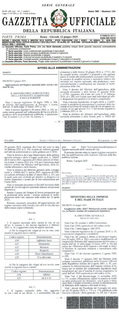 ISCRIZIONE AL REGISTRO NAZIONALE DELLA VARIETA' DI VITE COME NUOVA VARIETA' "AGLIANICO LASCO"