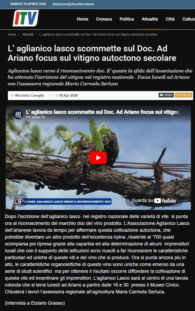 Aglianico lasco verso il riconoscimento doc. E’ questa la sfida dell’Associazione che ha ottenuto l'iscrizione del vitigno nel registro nazionale . Focus lunedì ad Ariano